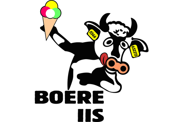 logo-boereiis