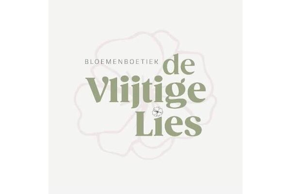 logo-de-vlijtige-lies