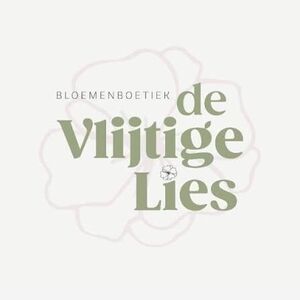 logo-de-vlijtige-lies